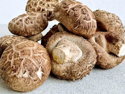 مکمل پاورفیت